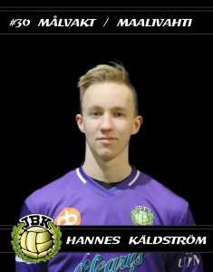 Hannes Käldström